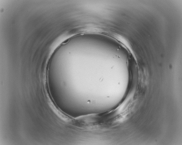 X0000066081195200603241424