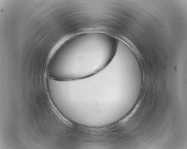 X0000066081196200603241424