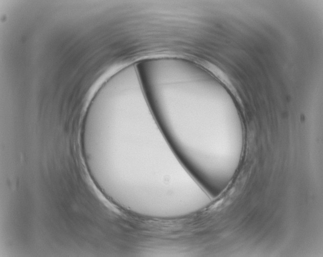 X0000066081197200603241424