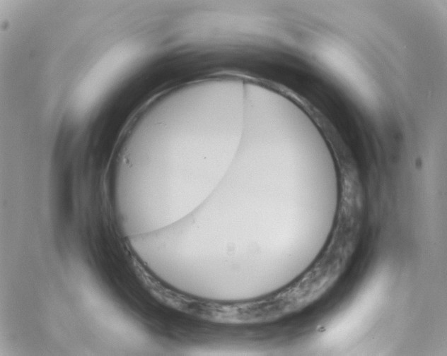 X0000066081198200603241424