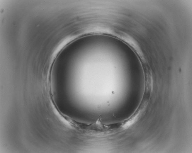 X0000066081199200603241424