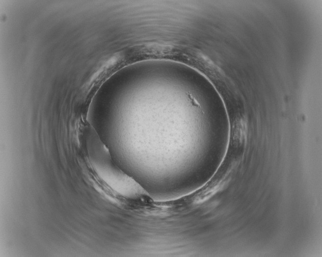 X0000066081202200603241423