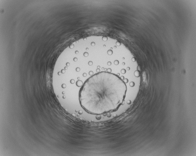 X0000066081203200603241423