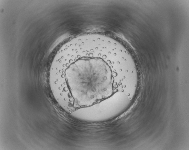 X0000066081211200603241423