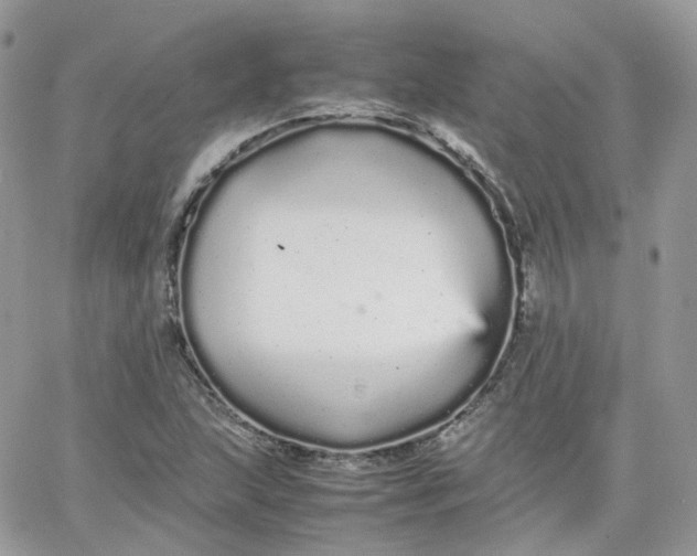 X0000066081215200603241423