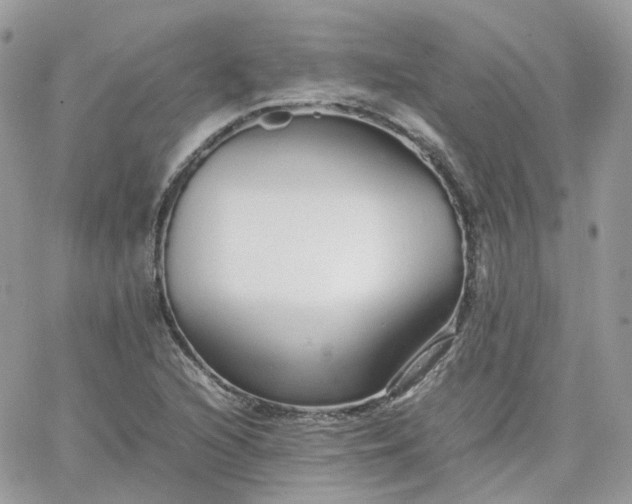 X0000066081216200603241423