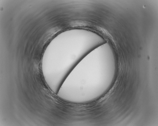 X0000066081217200603241423