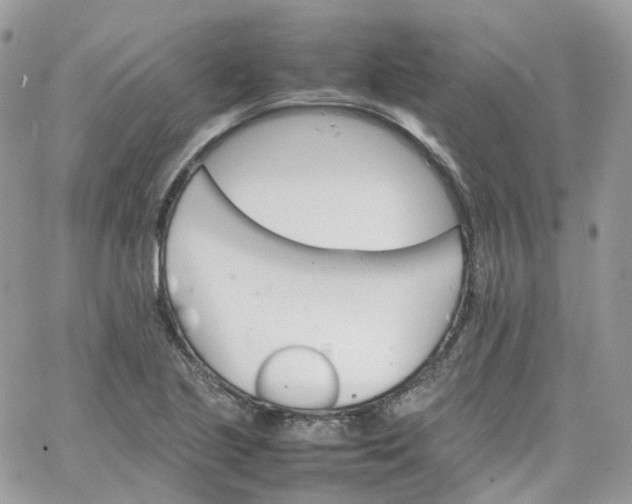 X0000066081221200603241423