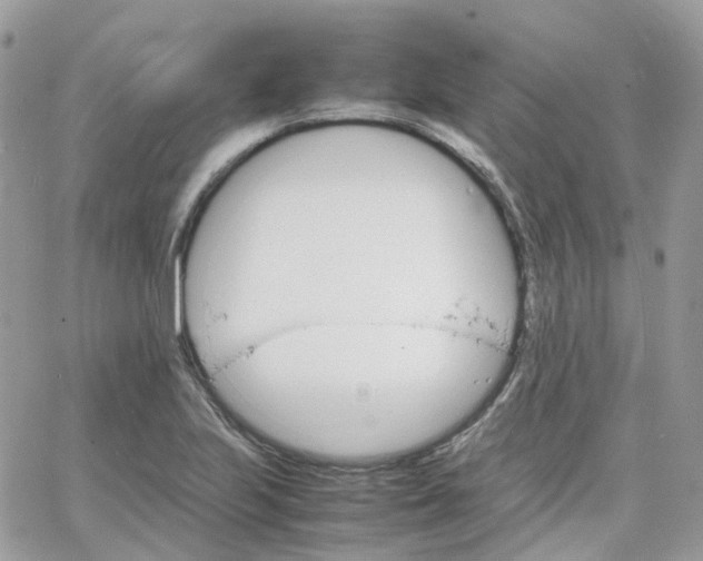 X0000066081223200603241423