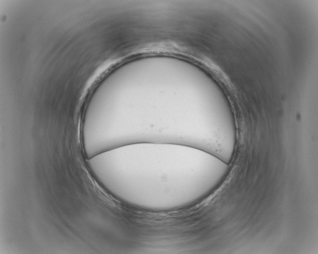 X0000066081224200603241423