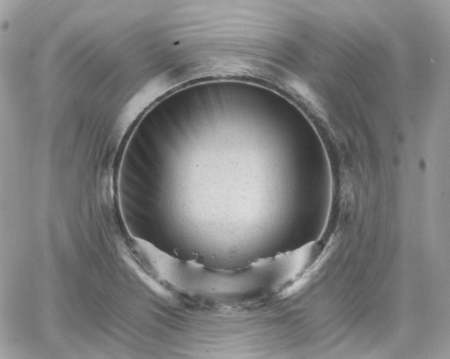 X0000066081226200603241423