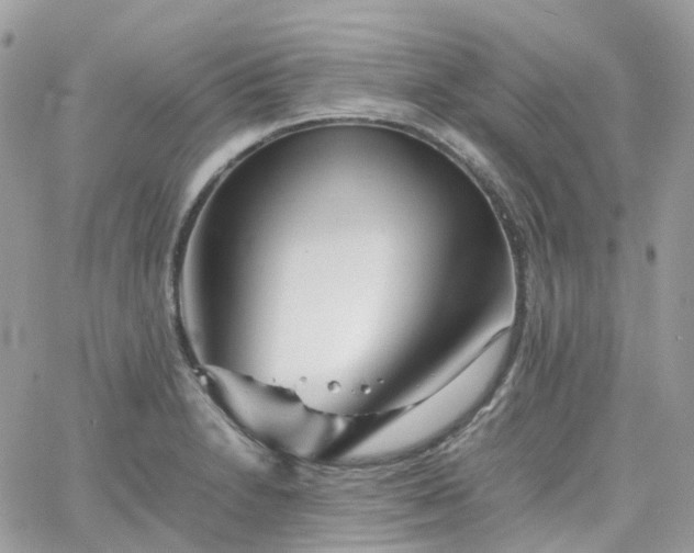 X0000066081230200603241423