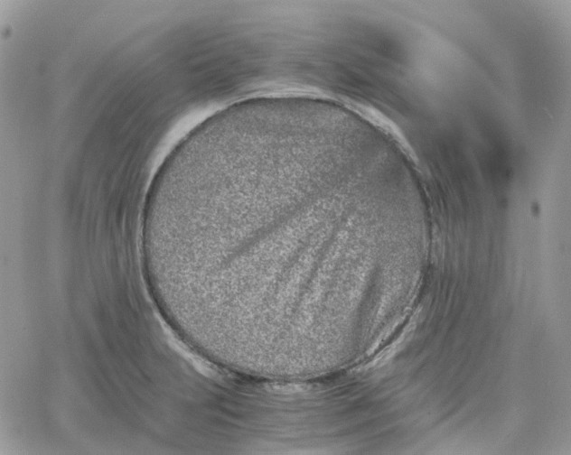 X0000066081231200603241423