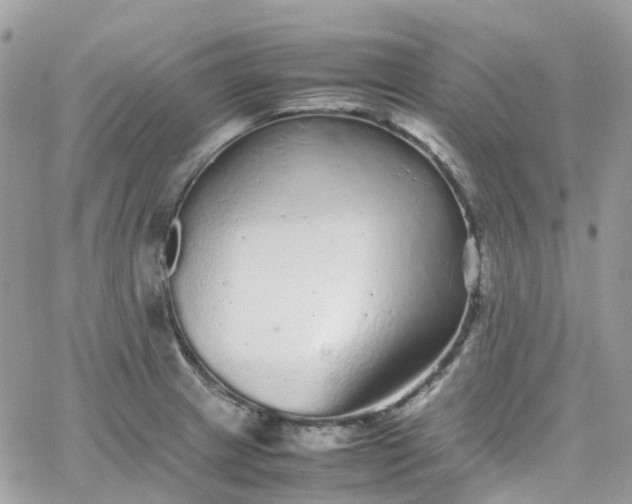 X0000066081233200603241424