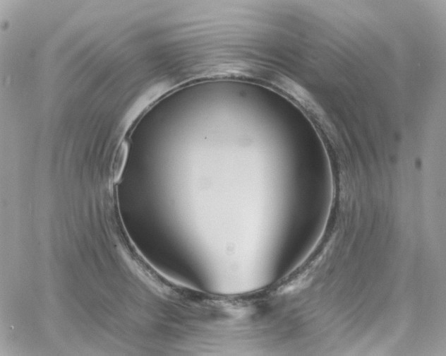 X0000066081234200603241424