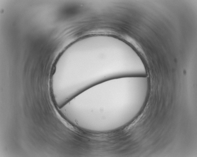 X0000066081237200603241424