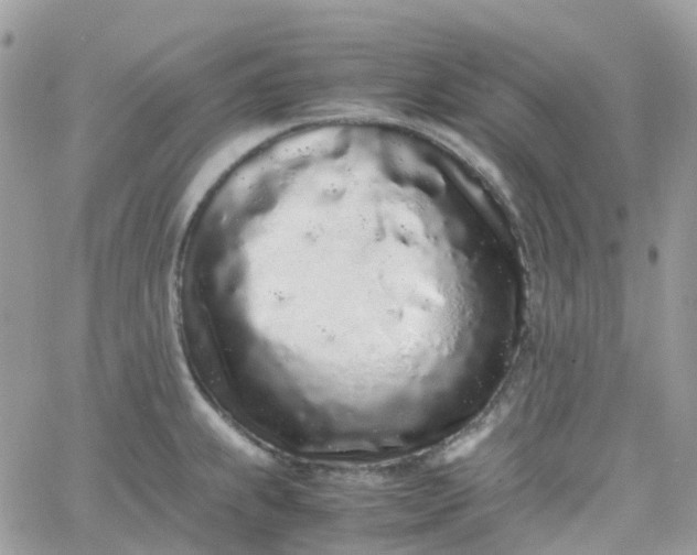 X0000066081239200603241424