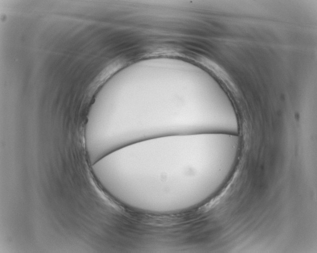 X0000066081241200603241424