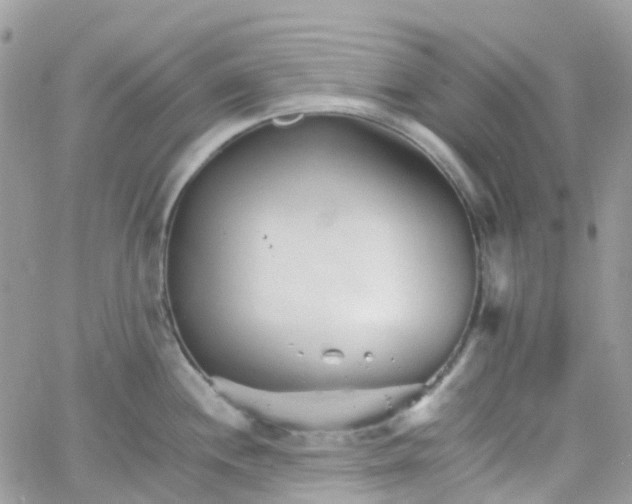 X0000066081244200603241424