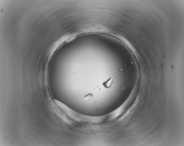 X0000066081246200603241424