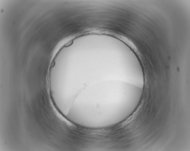 X0000066081247200603241424