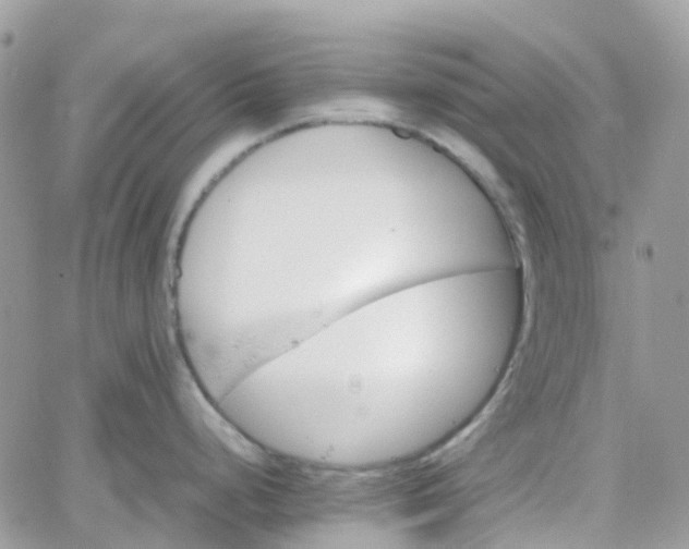 X0000066081248200603241424