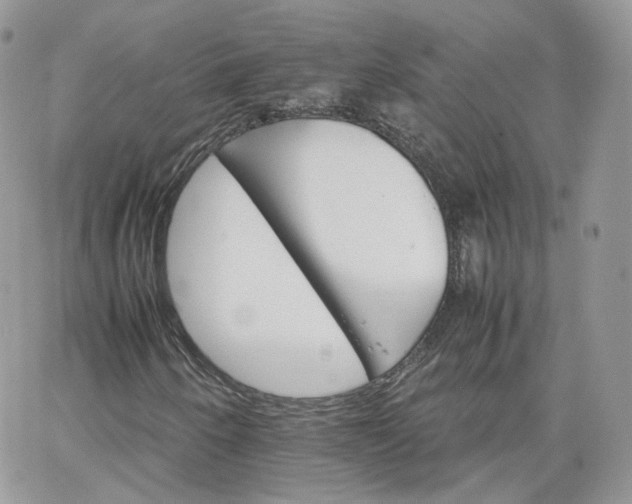 X0000066081250200603241423