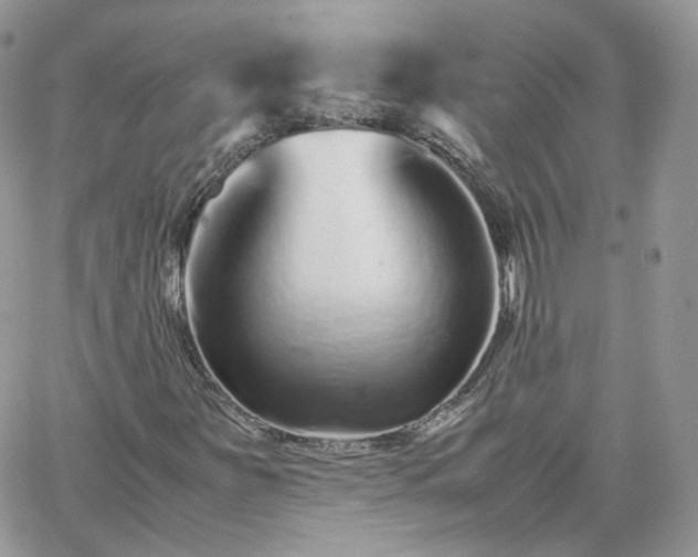 X0000066081251200603241423