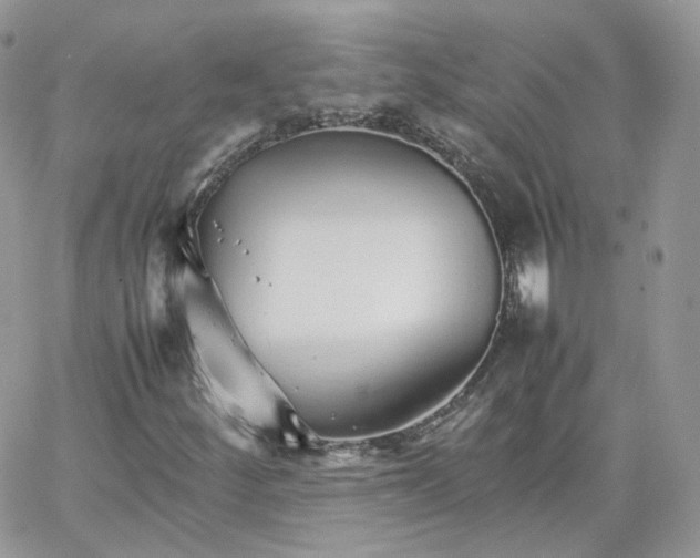 X0000066081252200603241423