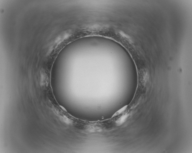 X0000066081253200603241423