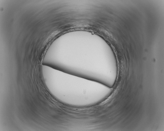 X0000066081257200603241423