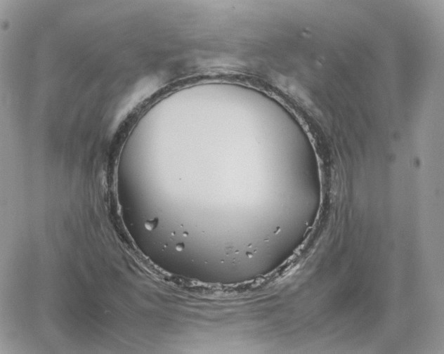 X0000066081261200603241423