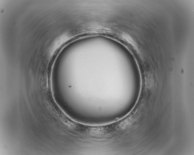 X0000066081267200603241423