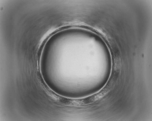 X0000066081271200603241423