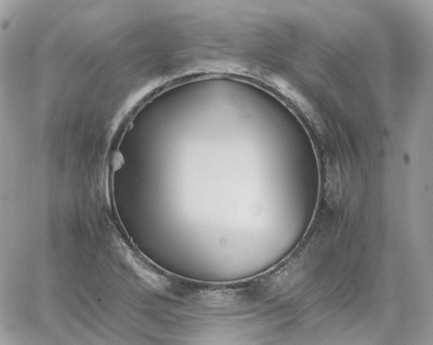 X0000066081272200603241423