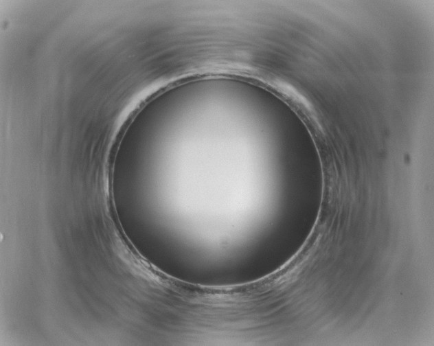 X0000066081280200603241422