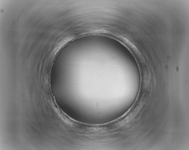 X0000066081281200603241422