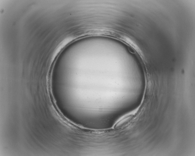 X0000066081283200603241422