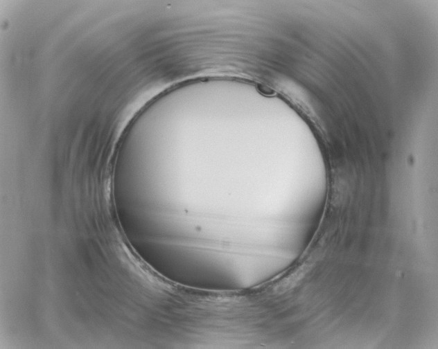 X0000066081284200603241422