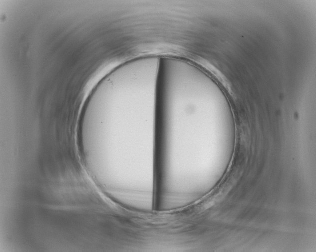 X0000066081285200603241422