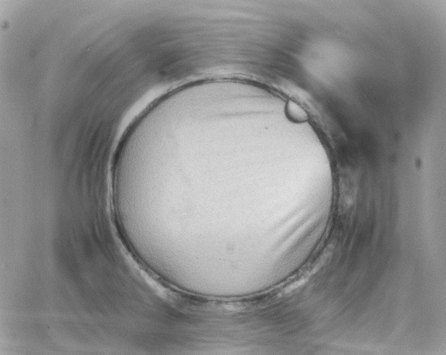 X0000066081286200603241422