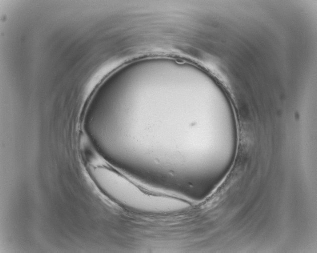 X0000066081287200603241422