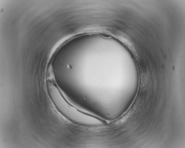 X0000066081288200603241422