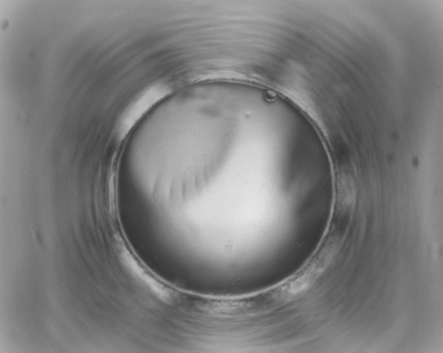 X0000066081290200603241422