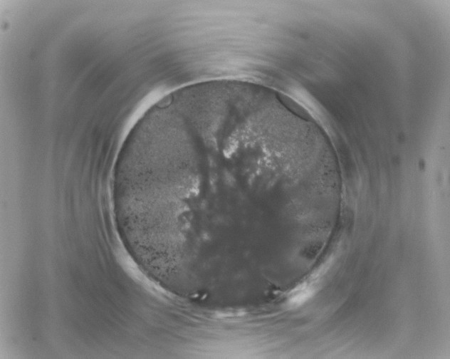 X0000066081291200603241422