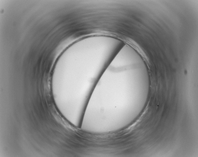 X0000066081292200603241422