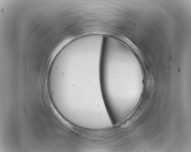 X0000066081293200603241422