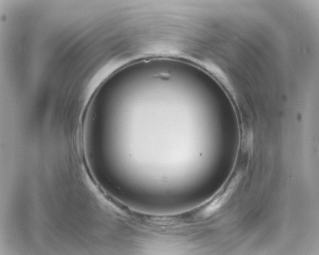 X0000066081295200603241422