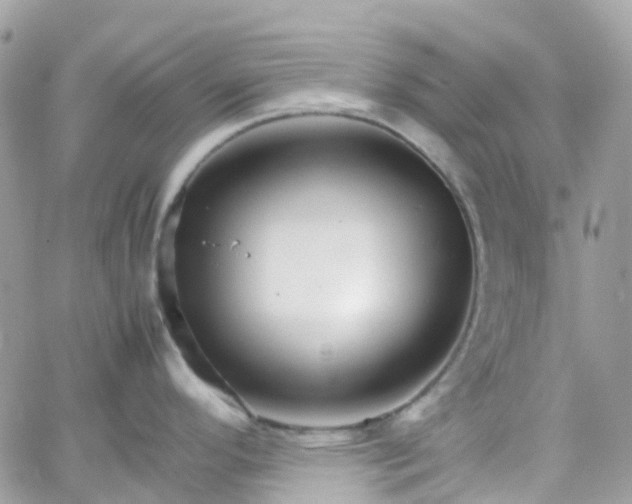 X0000066081296200603241422