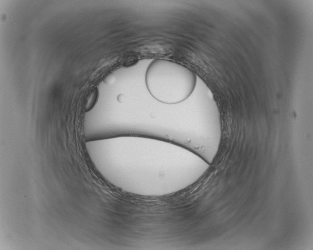 X0000066081297200603241421